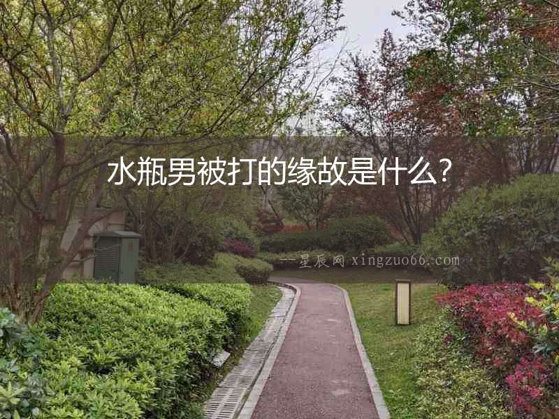 水瓶男被打的緣故是什么？