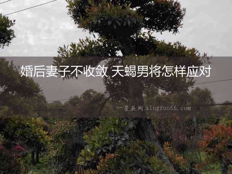 婚后妻子不收斂 天蝎男將怎樣應(yīng)對