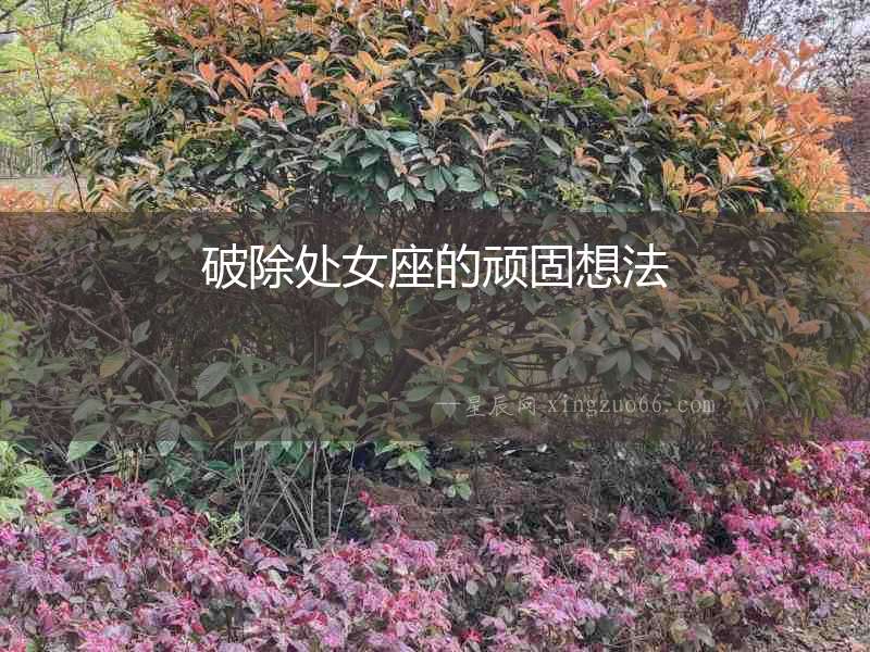 破除處女座的頑固想法