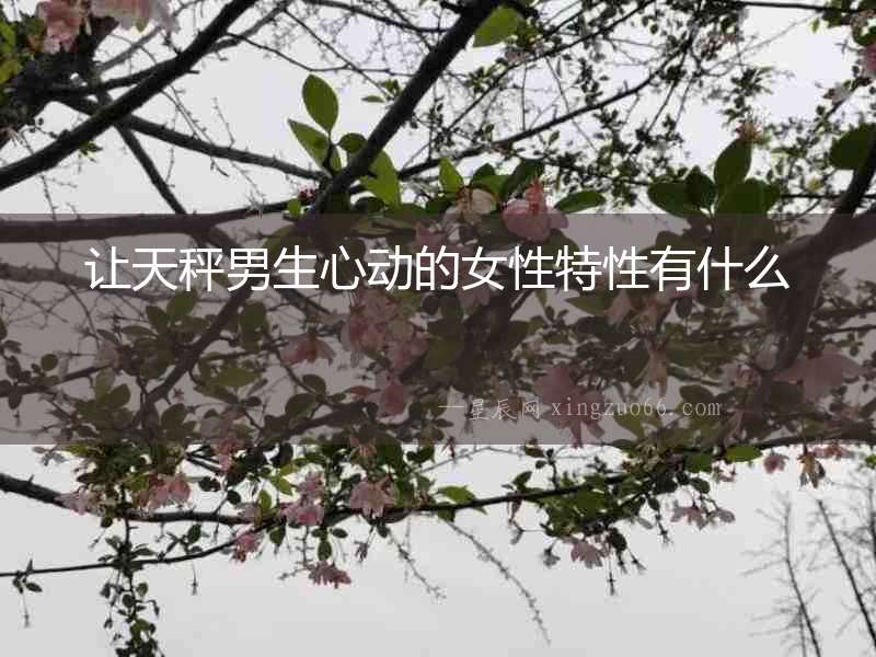 讓天秤男生心動的女性特性有什么