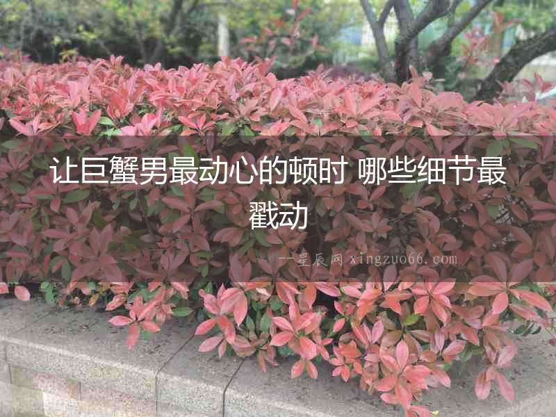 讓巨蟹男最動心的頓時 哪些細節最戳動