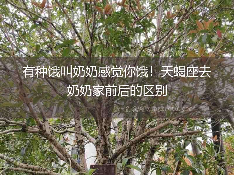 有種餓叫奶奶感覺你餓！天蝎座去奶奶家前后的區別