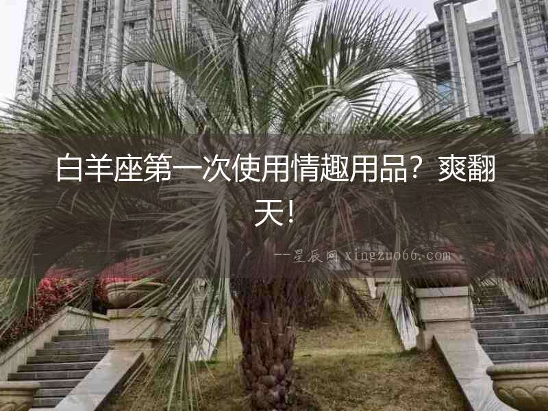 白羊座第一次使用情趣用品？爽翻天！