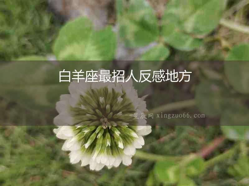 白羊座最招人反感地方