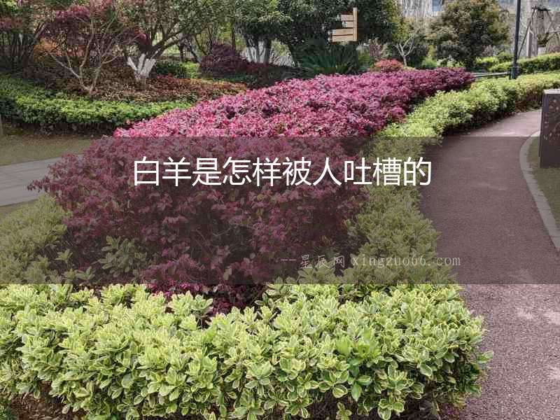 白羊是怎樣被人吐槽的
