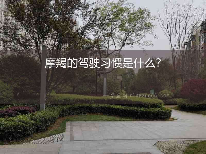 摩羯的駕駛習慣是什么？