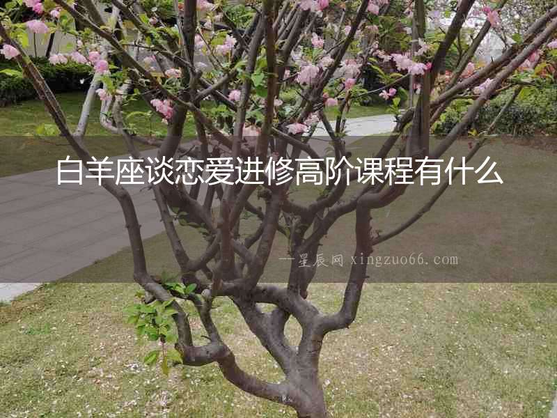 白羊座談戀愛進修高階課程有什么