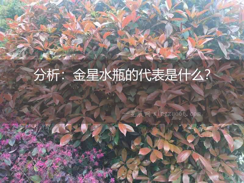 分析：金星水瓶的代表是什么？