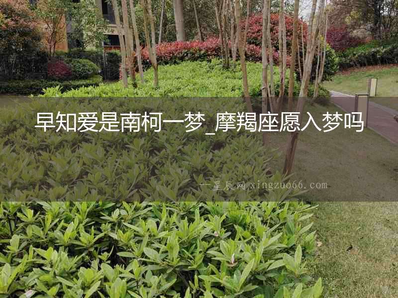 早知愛是南柯一夢_摩羯座愿入夢嗎