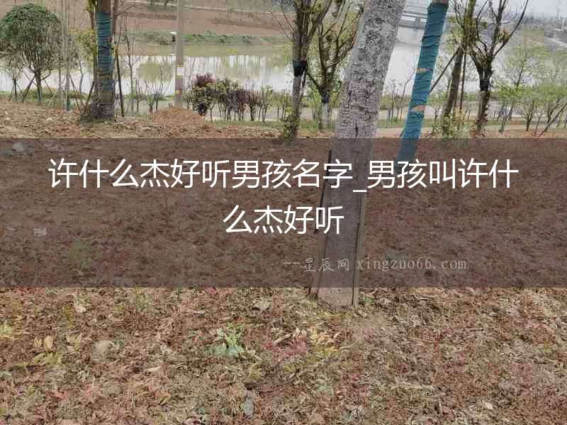 許什么杰好聽男孩名字_男孩叫許什么杰好聽