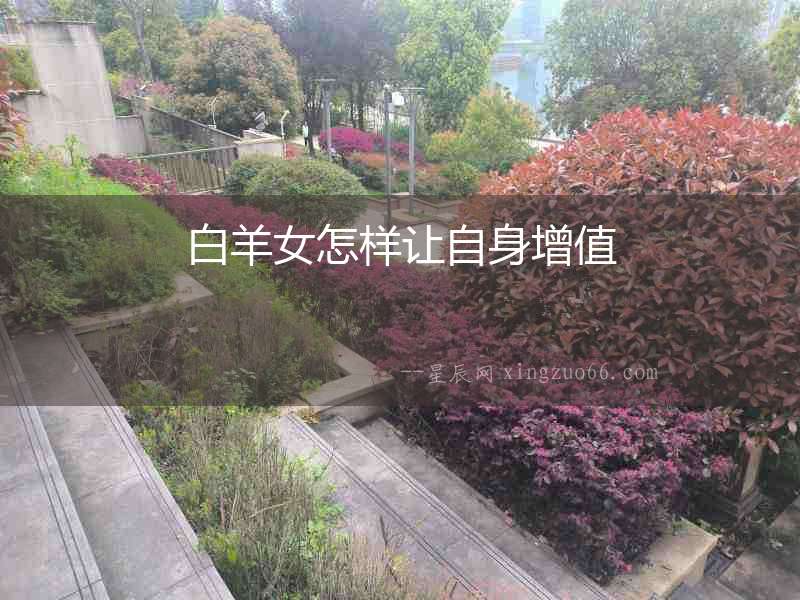 白羊女怎樣讓自身增值