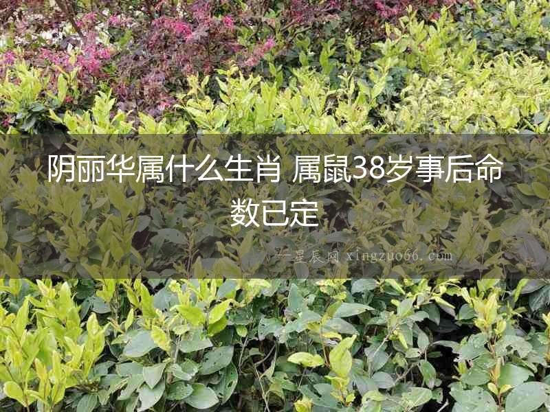 陰麗華屬什么生肖 屬鼠38歲事后命數已定