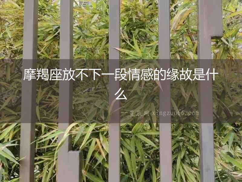 摩羯座放不下一段情感的緣故是什么