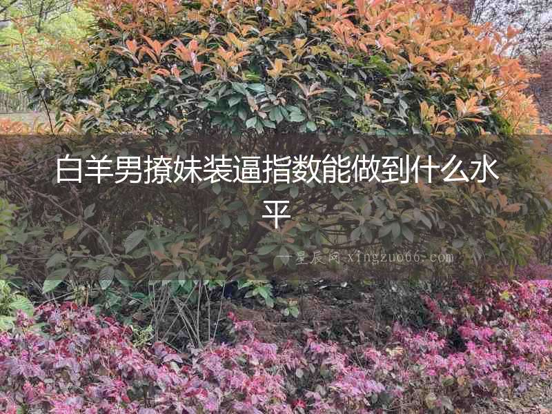 白羊男撩妹裝逼指數能做到什么水平