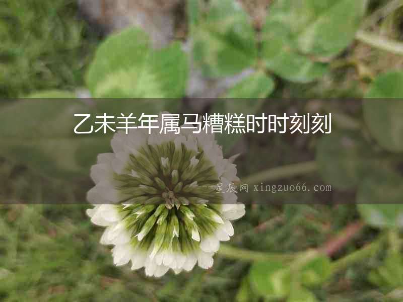 乙未羊年屬馬糟糕時時刻刻
