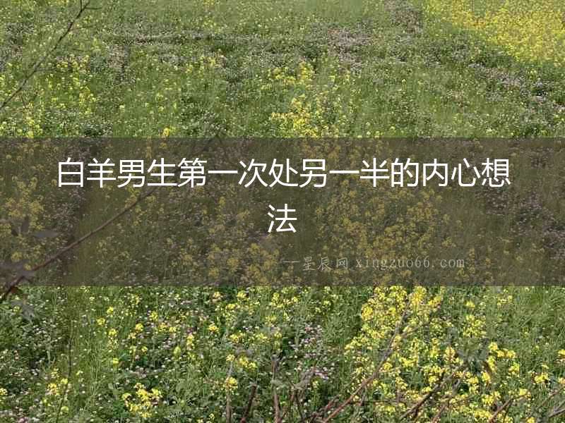 白羊男生第一次處另一半的內(nèi)心想法