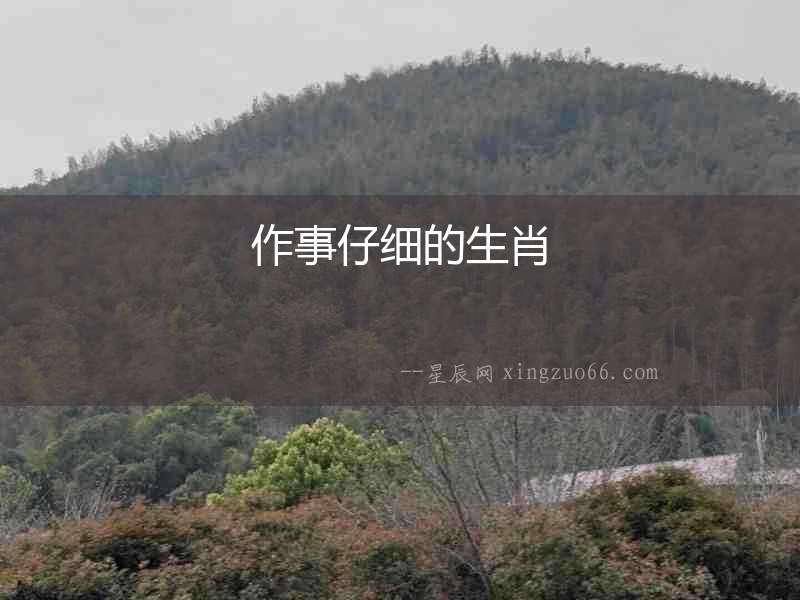 作事仔細(xì)的生肖