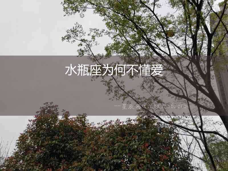 水瓶座為何不懂愛