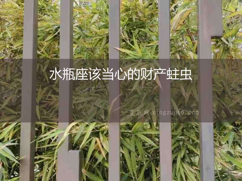 水瓶座該當(dāng)心的財產(chǎn)蛀蟲