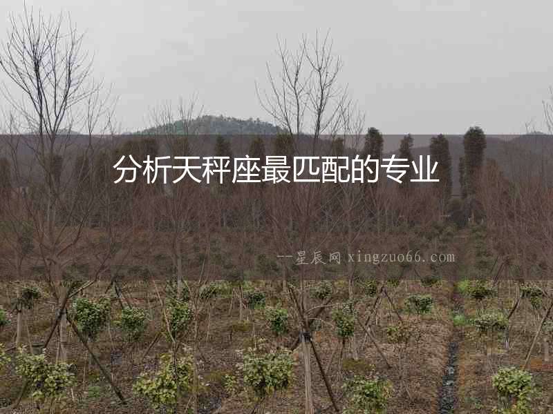 分析天秤座最匹配的專(zhuān)業(yè)