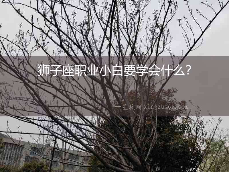 獅子座職業小白要學會什么？