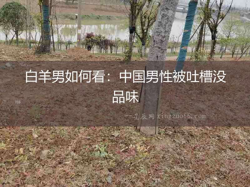 白羊男如何看：中國男性被吐槽沒品味