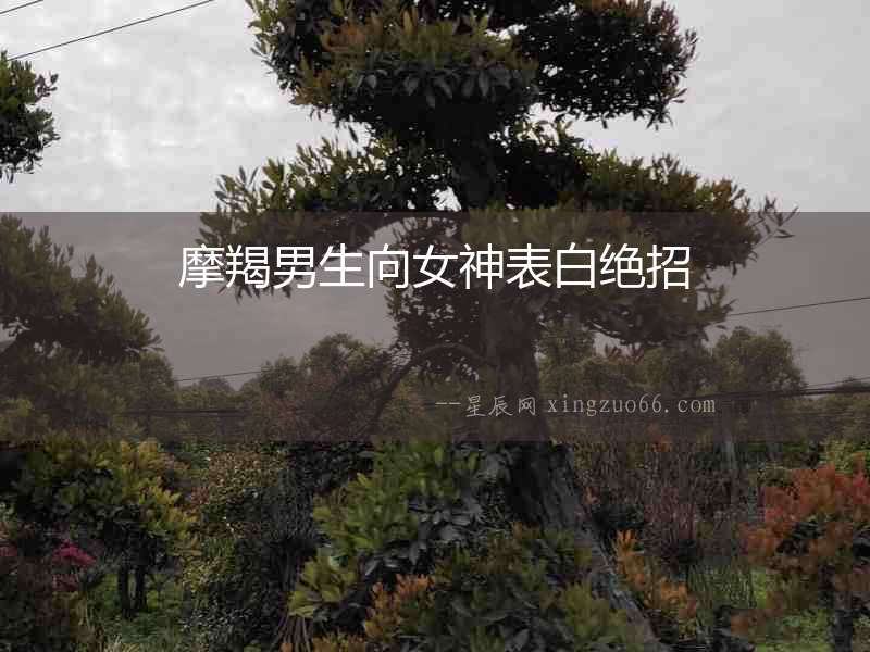 摩羯男生向女神表白絕招