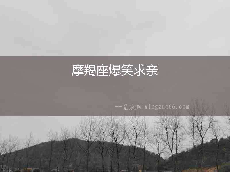 摩羯座爆笑求親