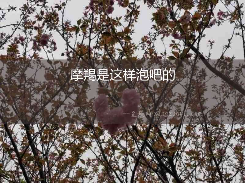摩羯是這樣泡吧的