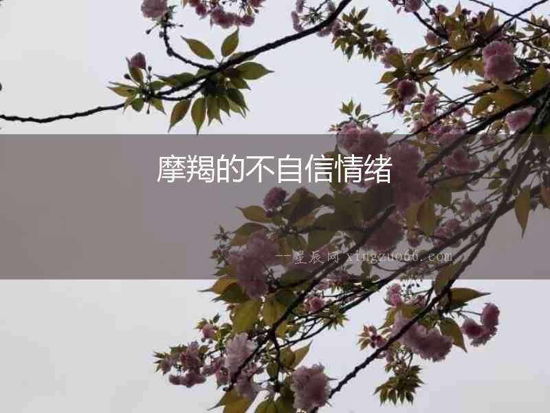 摩羯的不自信情緒