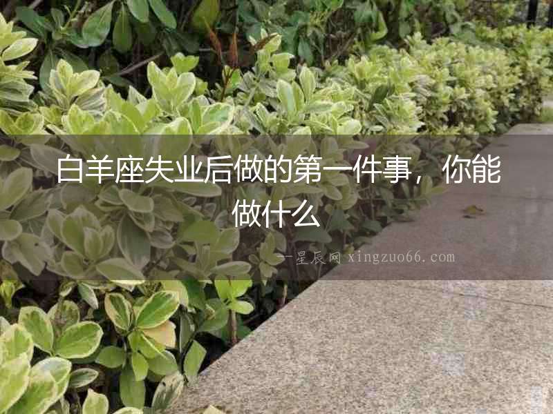 白羊座失業后做的第一件事，你能做什么