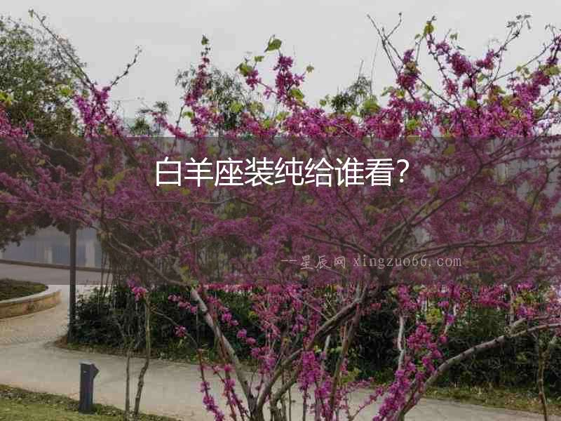 白羊座裝純給誰看？