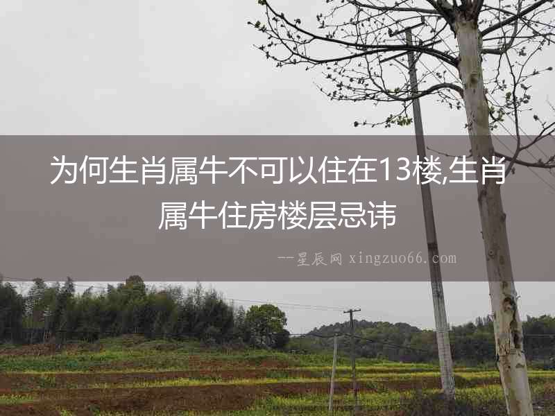 為何生肖屬牛不可以住在13樓,生肖屬牛住房樓層忌諱