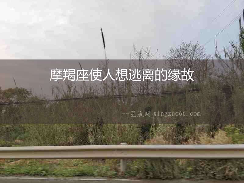 摩羯座使人想逃離的緣故