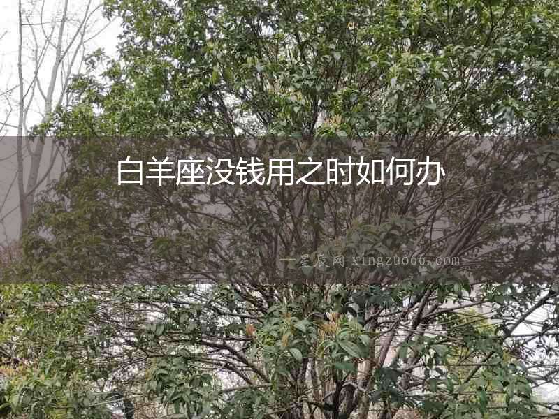 白羊座沒錢用之時如何辦