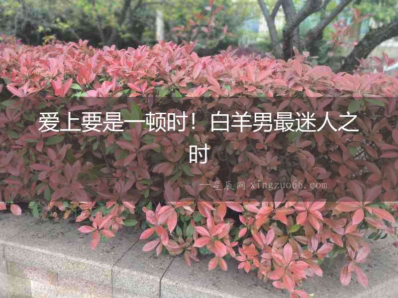 愛上要是一頓時！白羊男最迷人之時