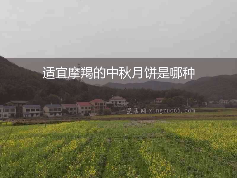 適宜摩羯的中秋月餅是哪種