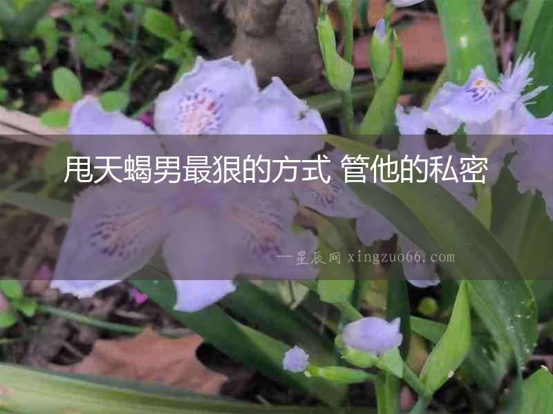 甩天蝎男最狠的方式 管他的私密
