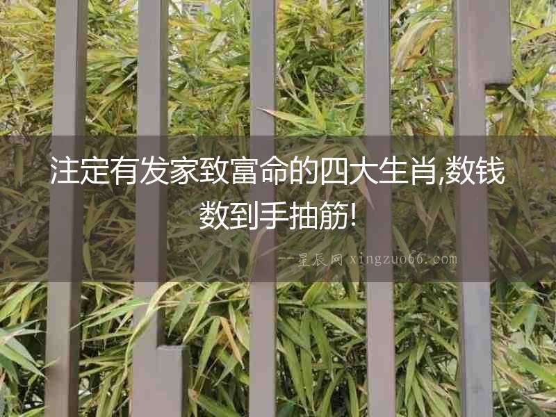 注定有發家致富命的四大生肖,數錢數到手抽筋!