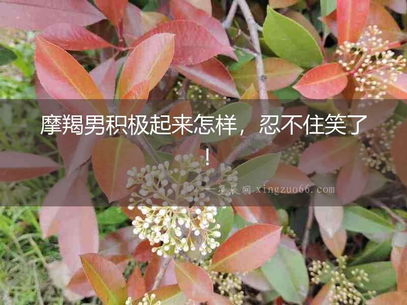 摩羯男積極起來(lái)怎樣，忍不住笑了！