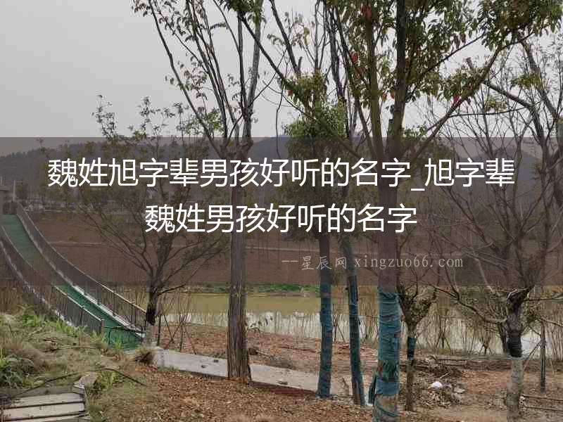 魏姓旭字輩男孩好聽的名字_旭字輩魏姓男孩好聽的名字