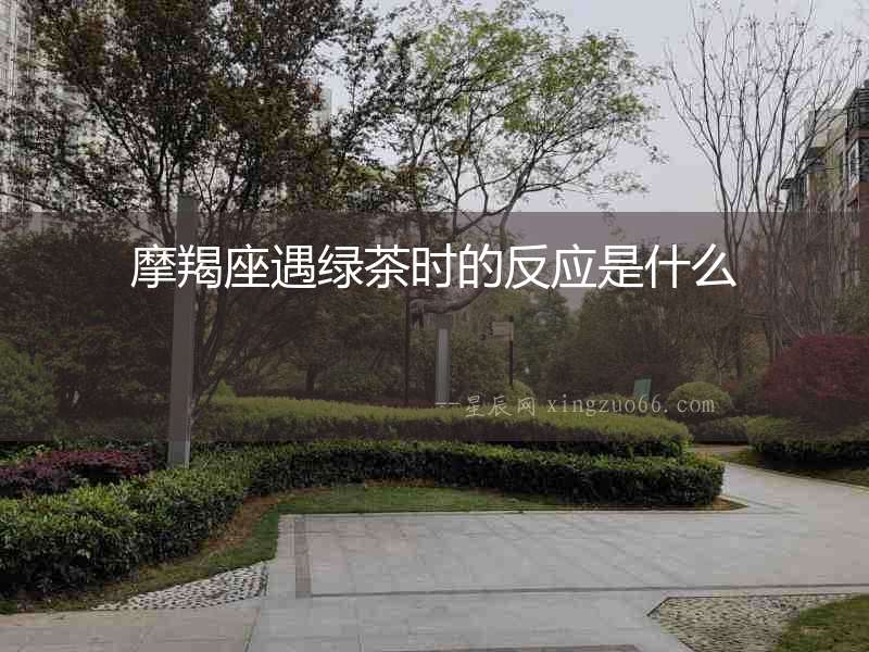 摩羯座遇綠茶時的反應是什么