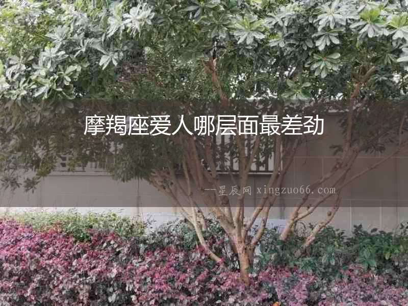 摩羯座愛人哪層面最差勁