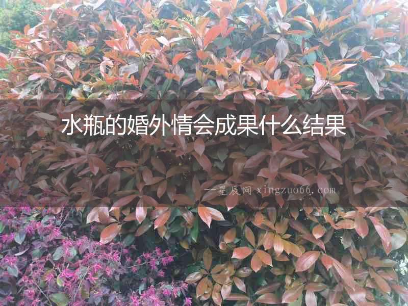 水瓶的婚外情會成果什么結果