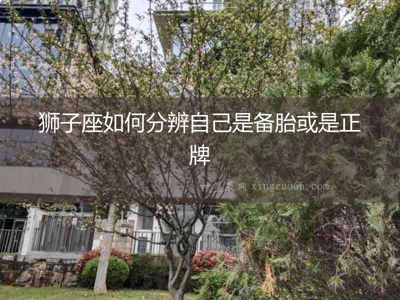 獅子座如何分辨自己是備胎或是正牌