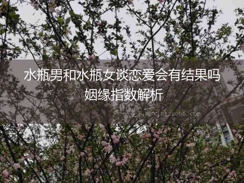 水瓶男和水瓶女談戀愛會有結果嗎 姻緣指數解析