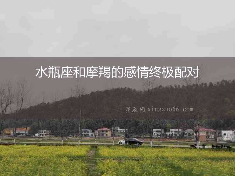 水瓶座和摩羯的感情終極配對