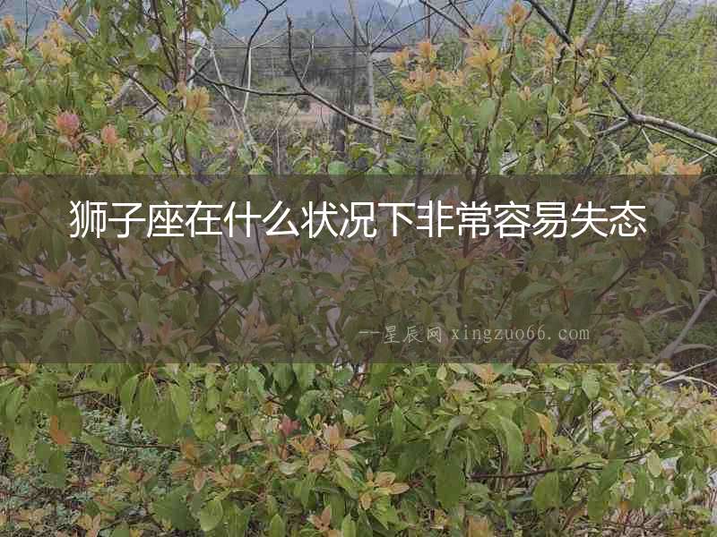獅子座在什么狀況下非常容易失態