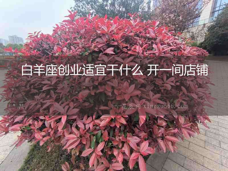 白羊座創(chuàng)業(yè)適宜干什么 開一間店鋪