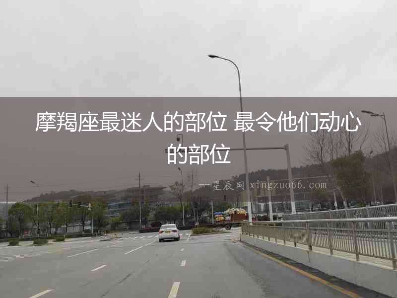 摩羯座最迷人的部位 最令他們動心的部位